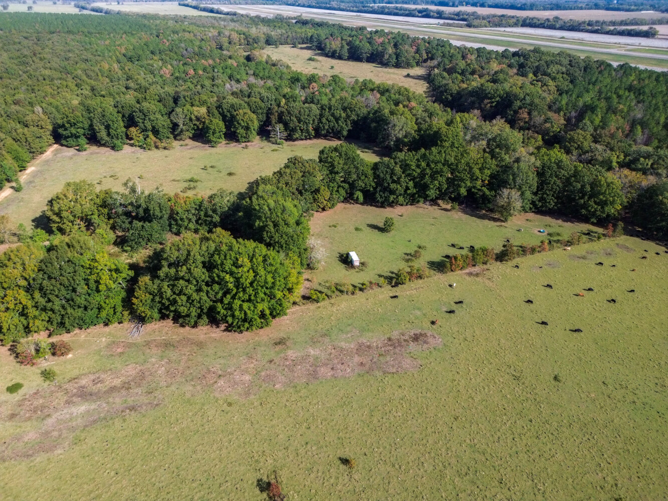 136-Acre Hunting Land for Sale, Perry County, AL, photo 3 of 39