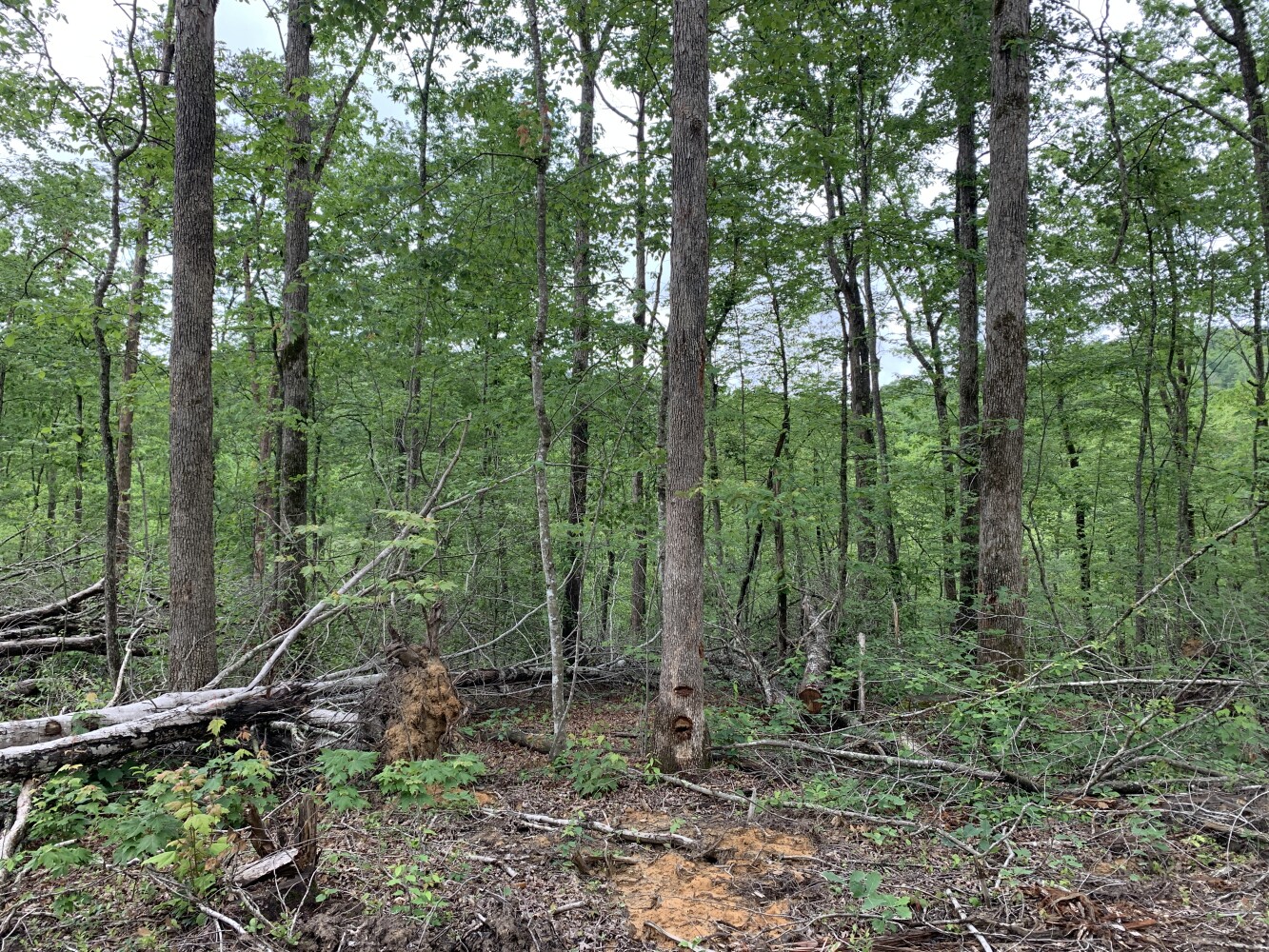 1900 Waterway Acres Road