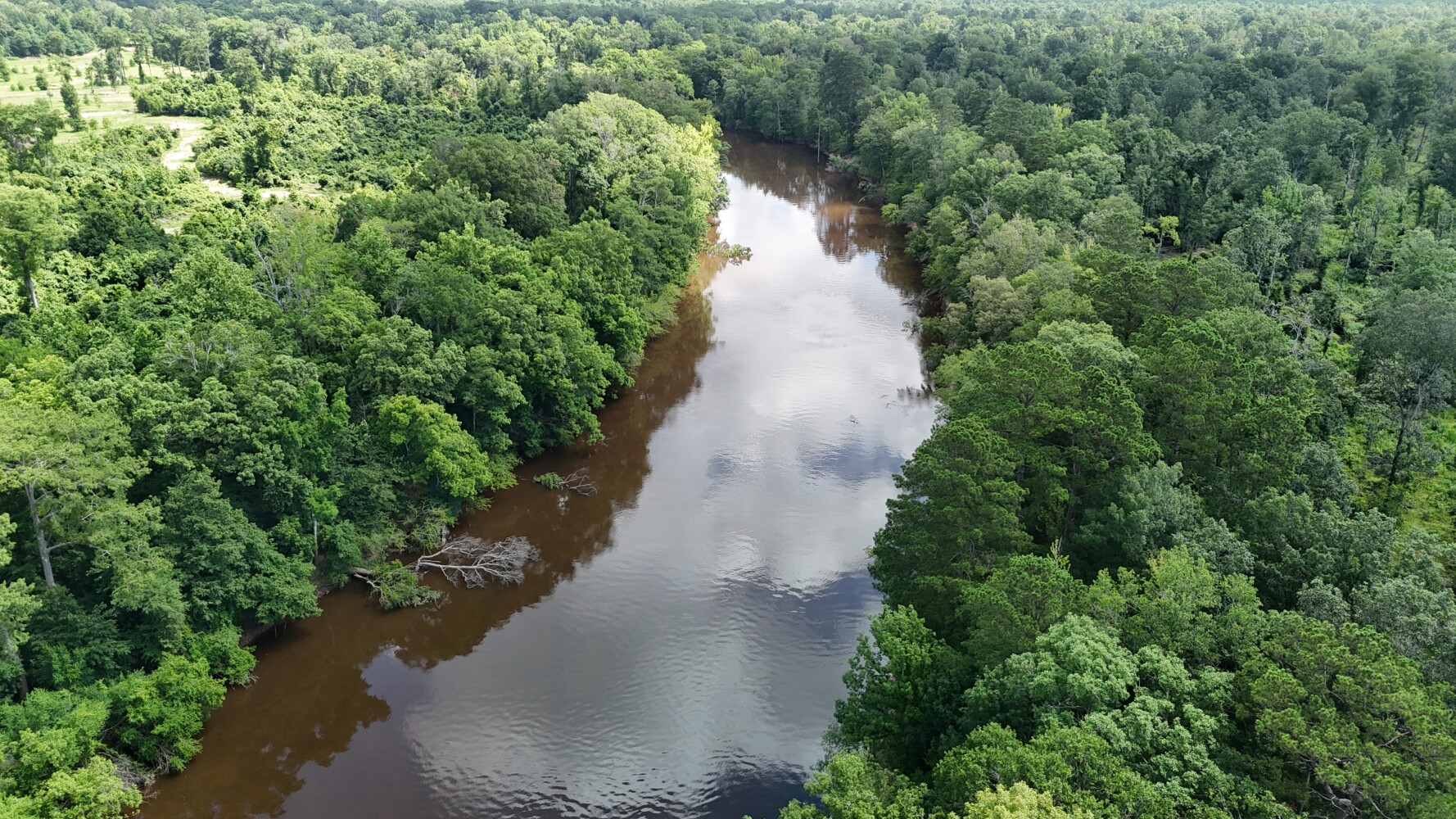 65 acres in Drew County, AR: hunting land for sale near Lacey, AR
