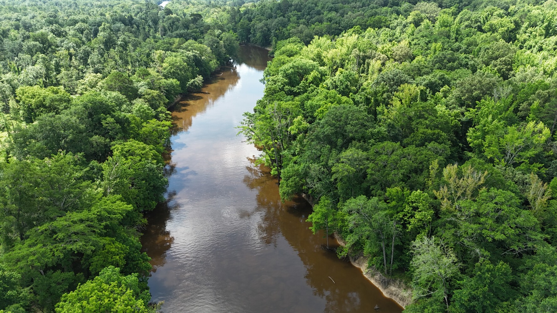 65-Acre Hunting Land for Sale, Drew County, AR, photo 2 of 13