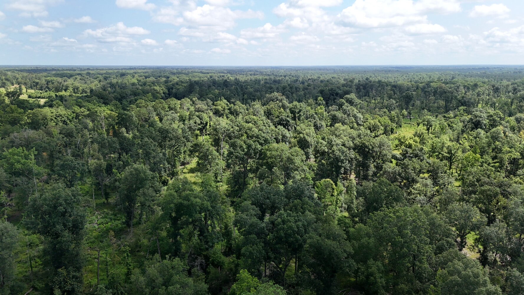 Photo 3 of 12 of land for sale at 0 County Road 332, Tract 8, Lacey, AR 71675