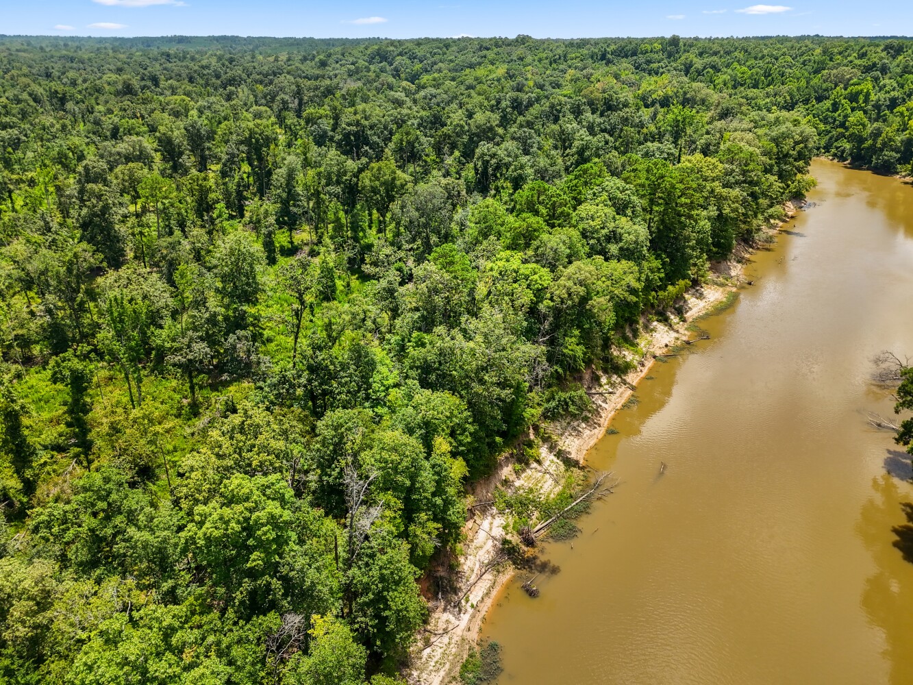 Photo 2 of 12 of land for sale at 0 County Road 332, Tract 8, Lacey, AR 71675