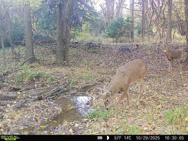 Photo 23 of 50 of land listing at 0123 County Road, Schuyler, NE 68661