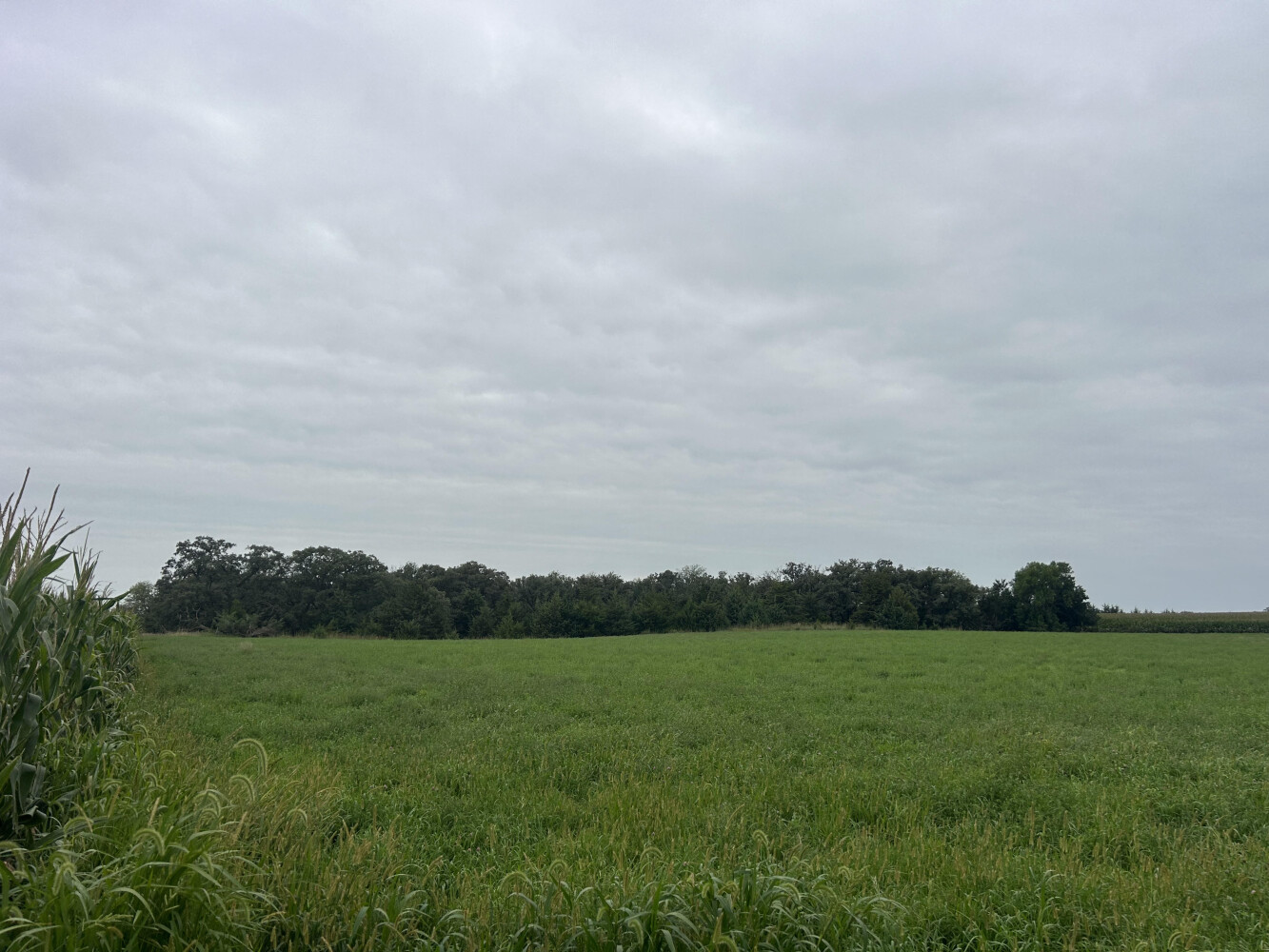 Photo 25 of 50 of land listing at 0123 County Road, Schuyler, NE 68661