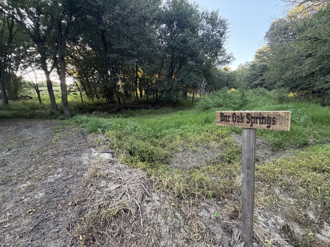 Photo 32 of 50 of land listing at 0123 County Road, Schuyler, NE 68661