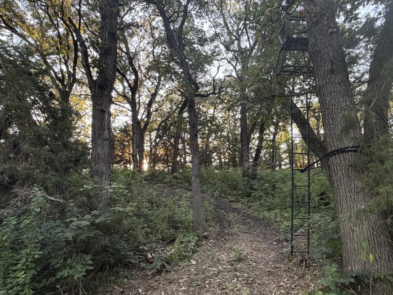 Photo 35 of 50 of land listing at 0123 County Road, Schuyler, NE 68661