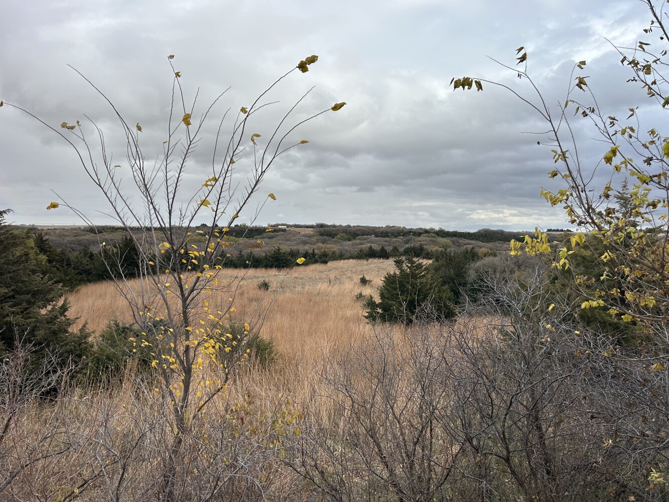 Photo 2 of 50 of land listing at 0123 County Road, Schuyler, NE 68661