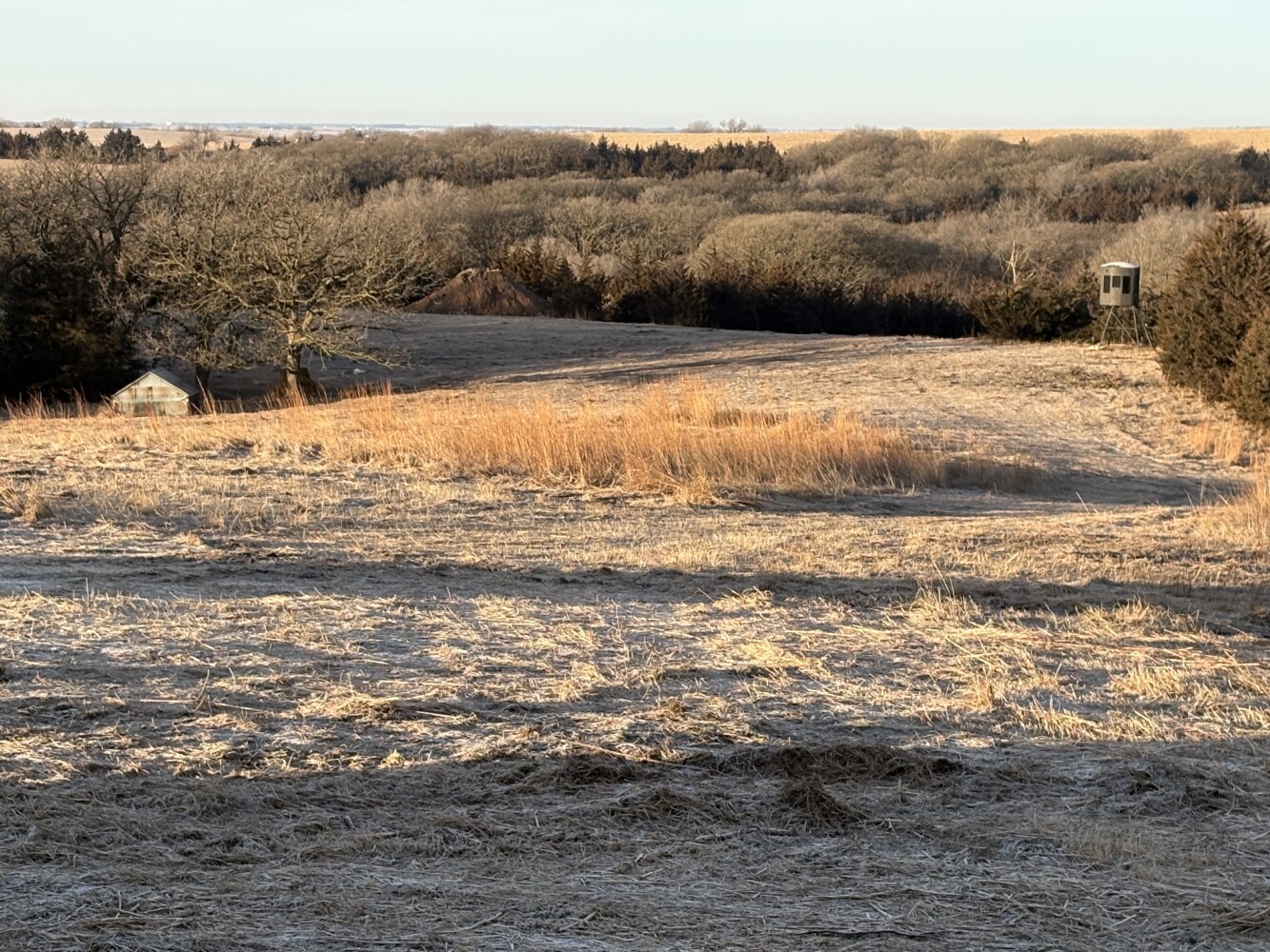 Photo 1 of 50 of land listing at 0123 County Road, Schuyler, NE 68661