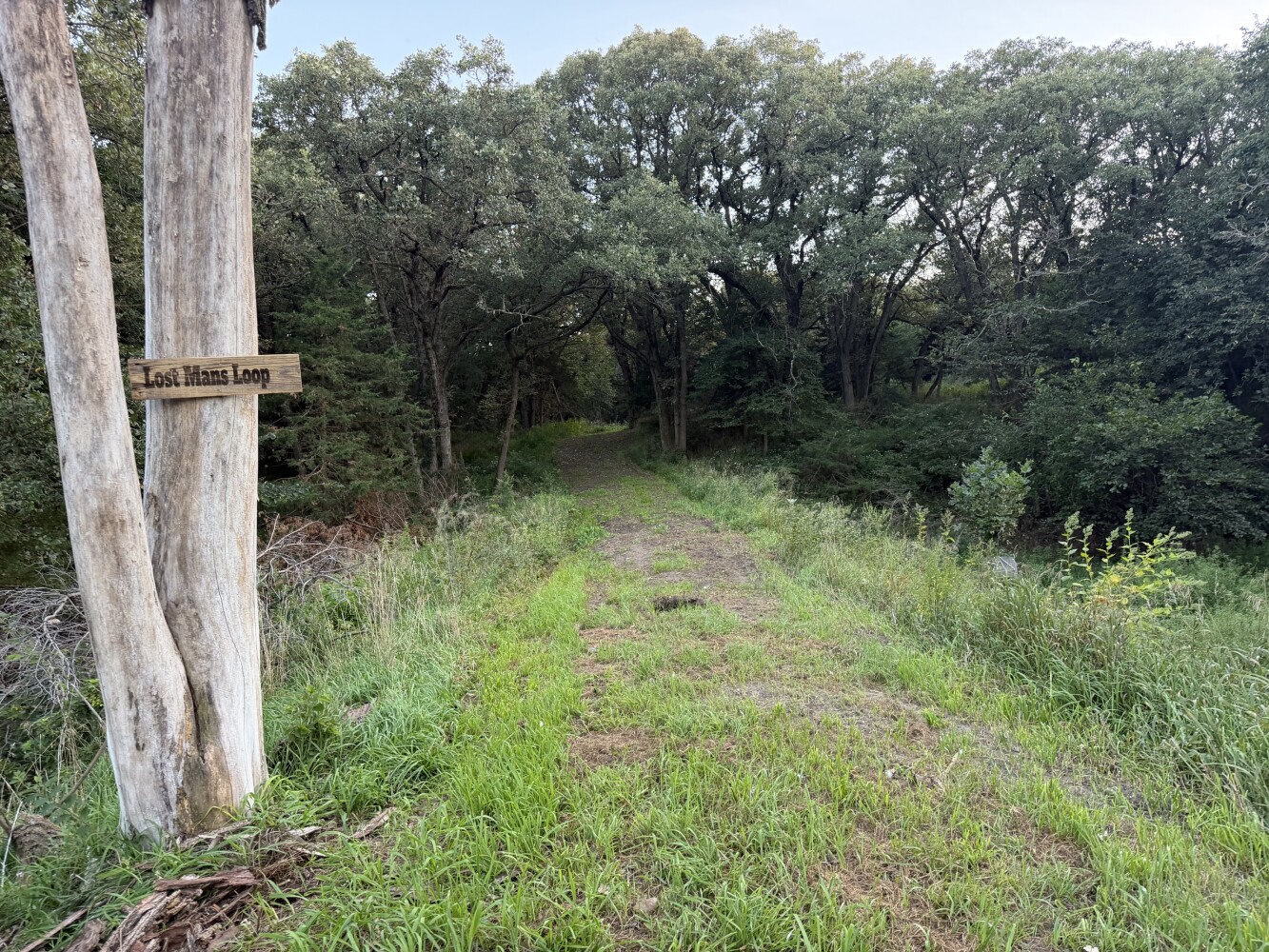 Photo 41 of 50 of land listing at 0123 County Road, Schuyler, NE 68661