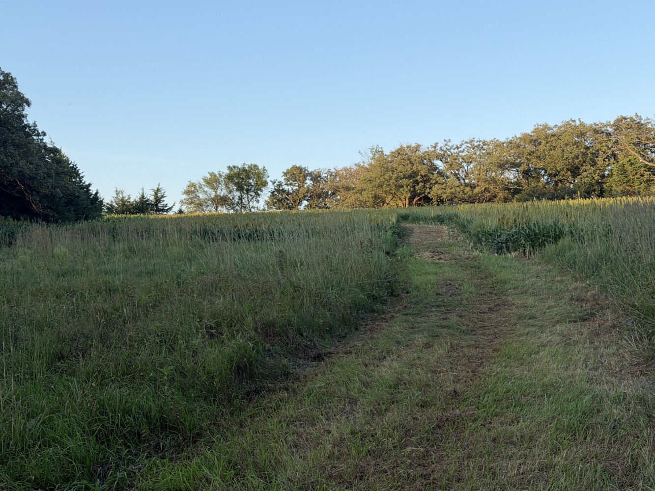 Photo 43 of 50 of land listing at 0123 County Road, Schuyler, NE 68661