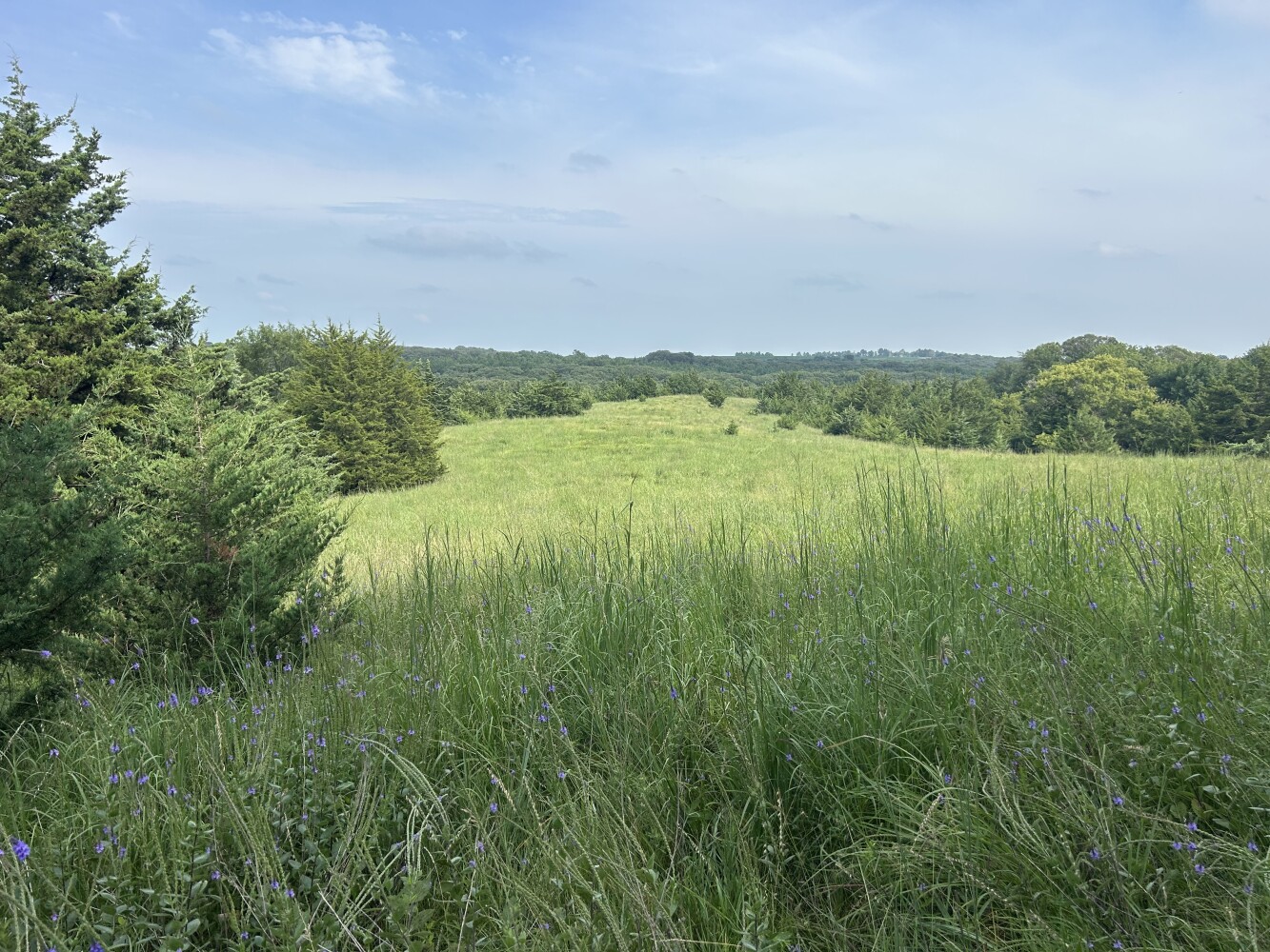 Photo 45 of 50 of land listing at 0123 County Road, Schuyler, NE 68661