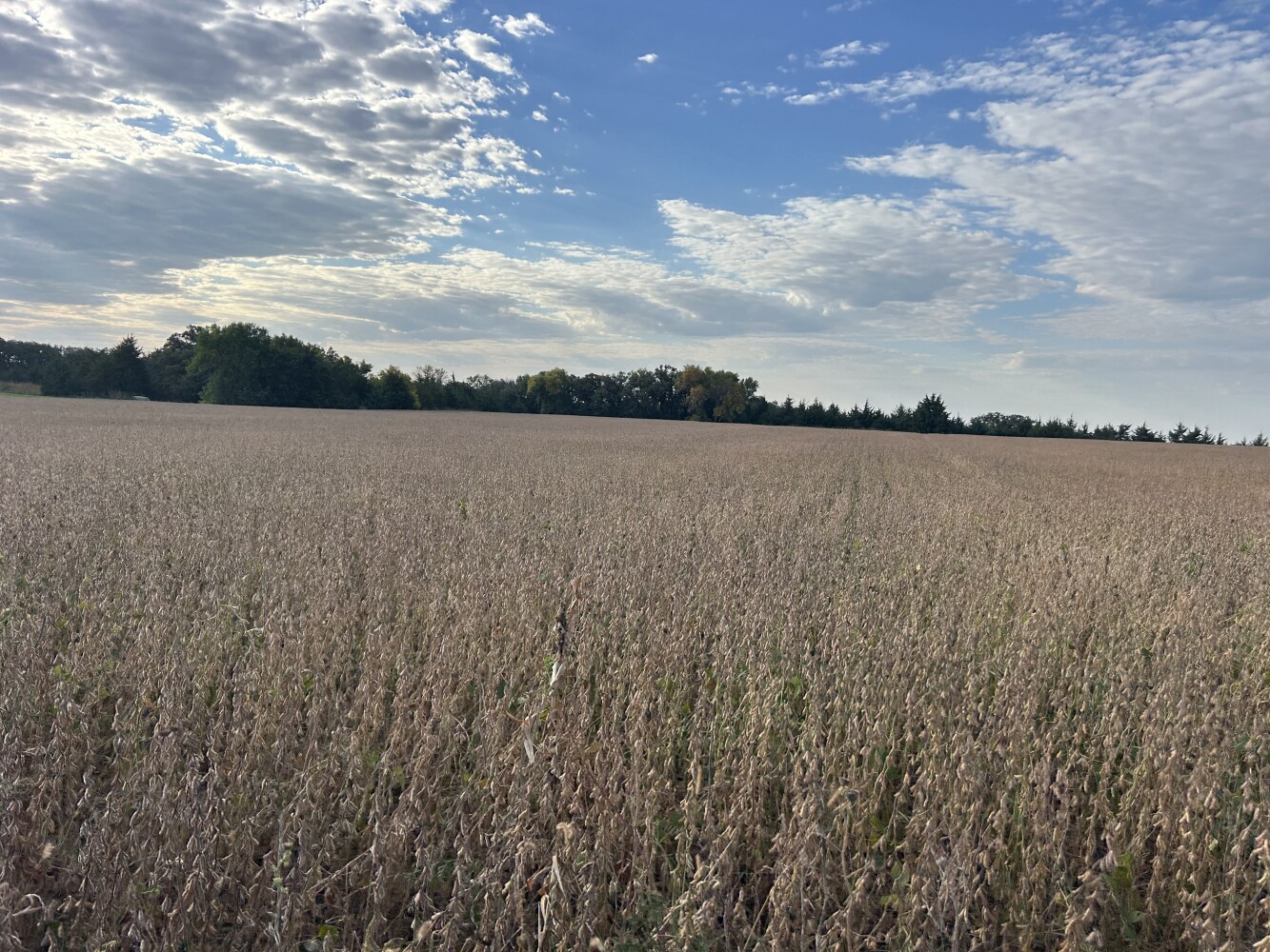 Photo 47 of 50 of land listing at 0123 County Road, Schuyler, NE 68661