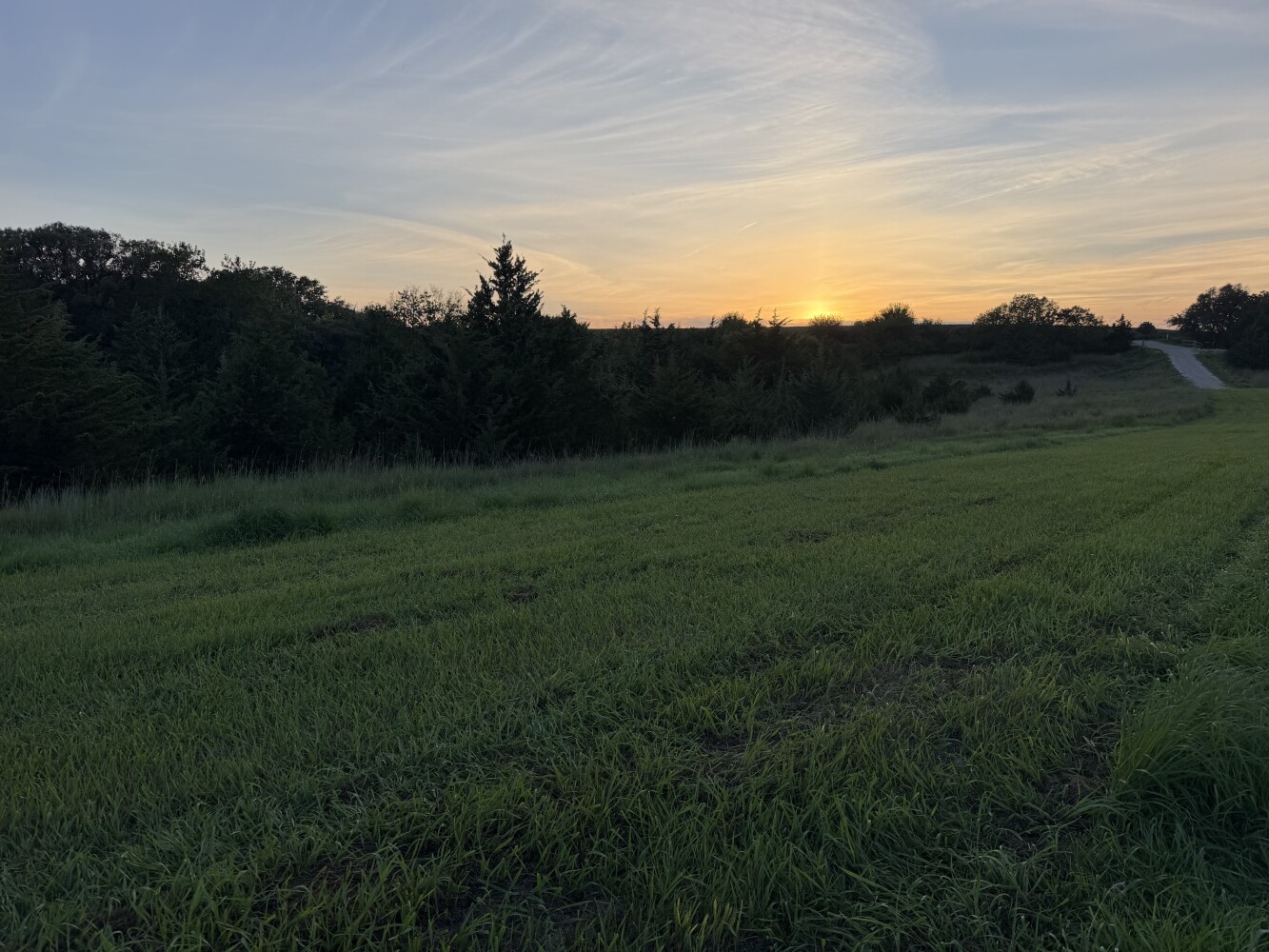 Photo 48 of 50 of land listing at 0123 County Road, Schuyler, NE 68661
