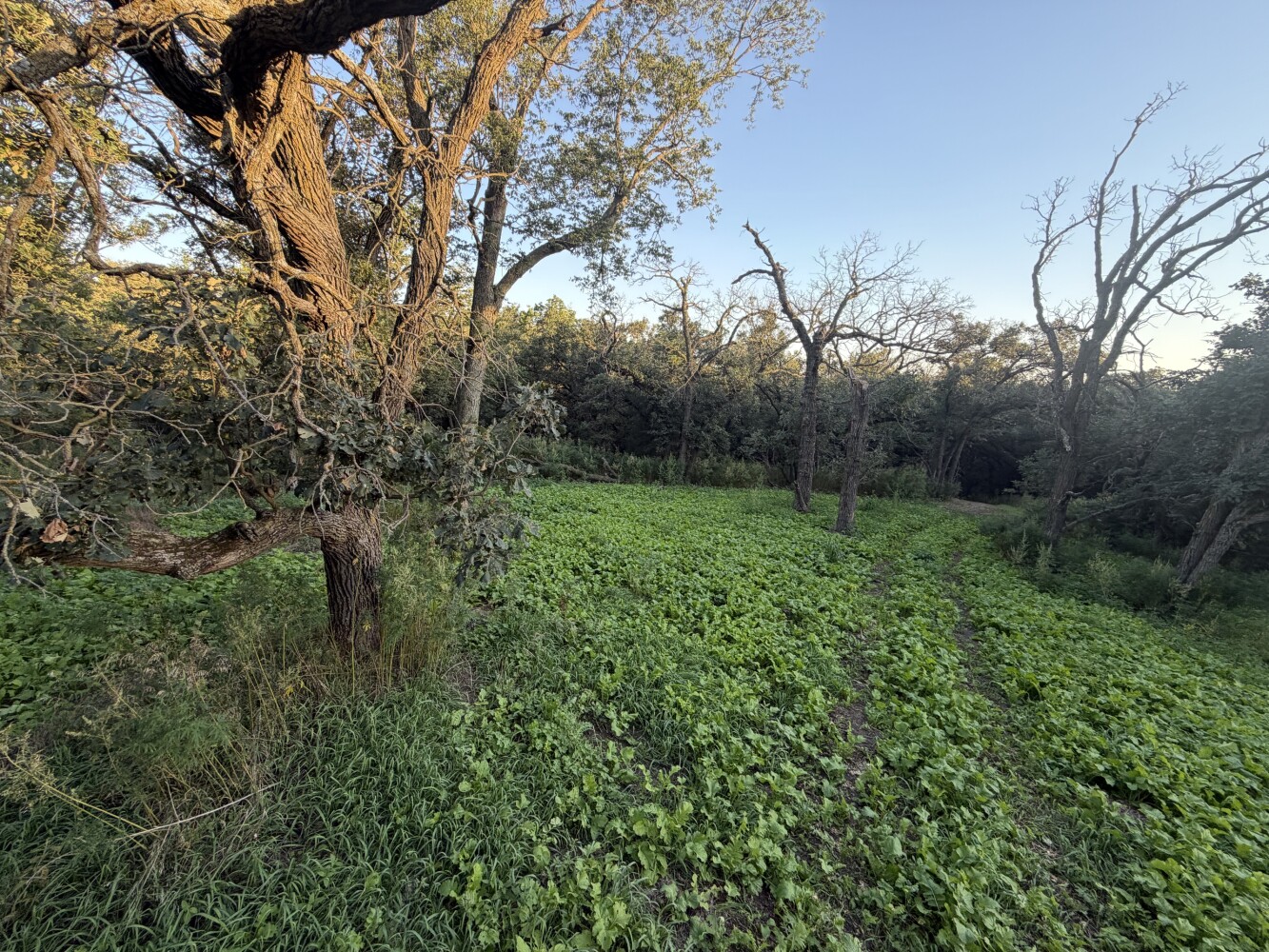 Photo 11 of 50 of land listing at 0123 County Road, Schuyler, NE 68661