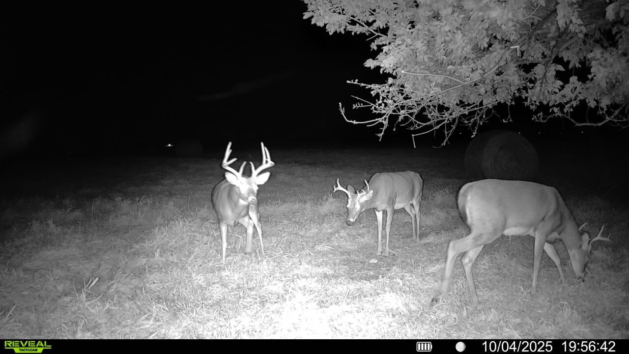 Photo 15 of 50 of land listing at 0123 County Road, Schuyler, NE 68661