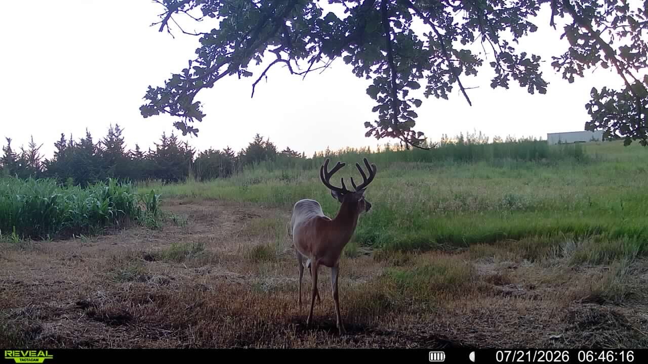 Photo 16 of 50 of land listing at 0123 County Road, Schuyler, NE 68661