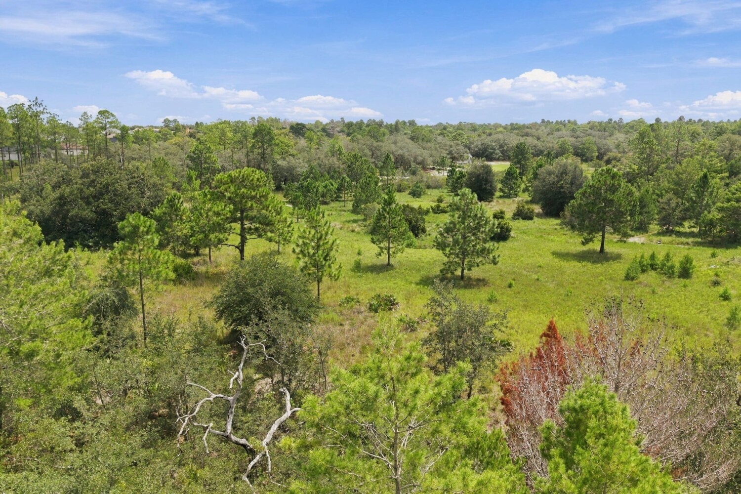 0 Seely Lane, Weeki Wachee, FL 34613