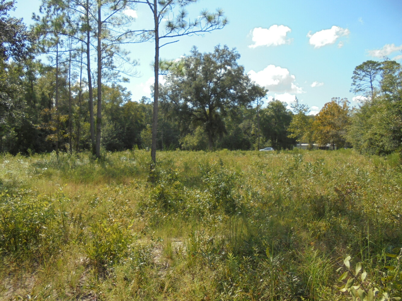 00 111th Drive, O'Brien, FL 32071
