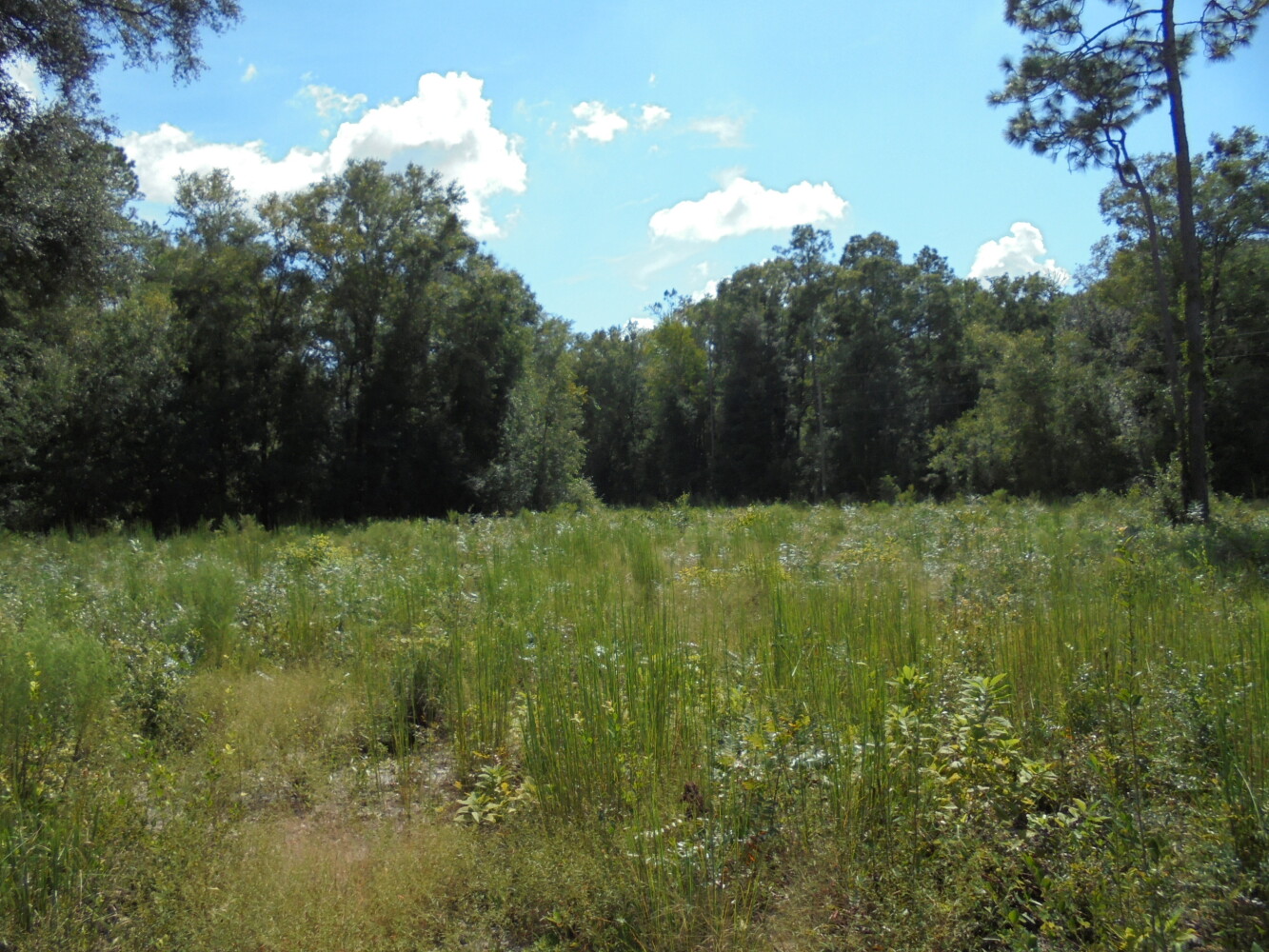 00 111th Drive, O'Brien, FL 32071