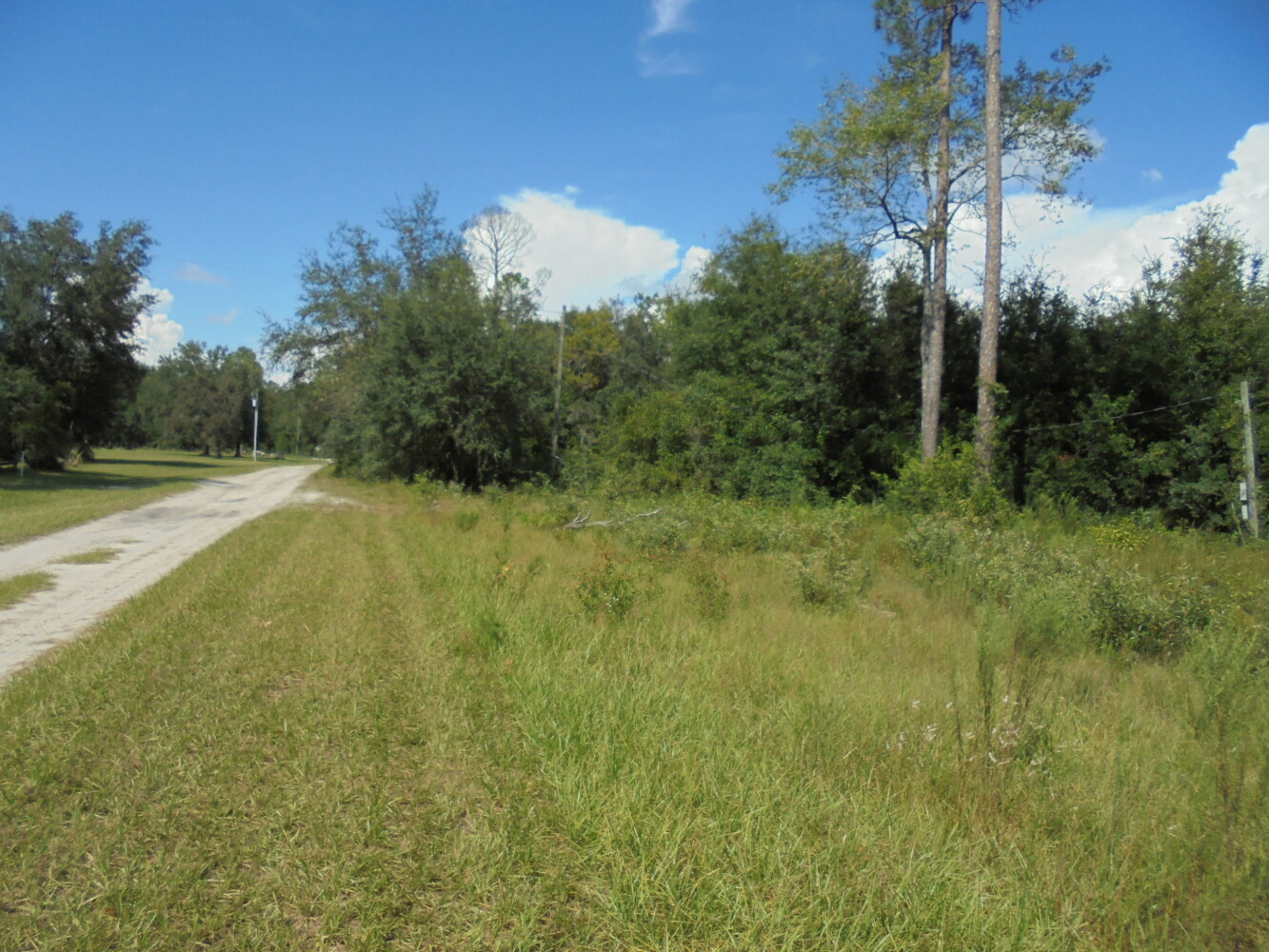 00 111th Drive, O'Brien, FL 32071