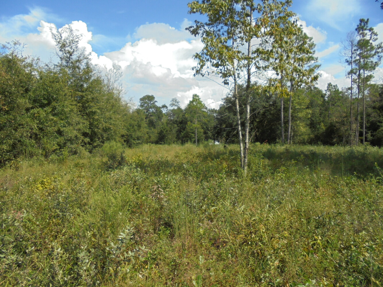 00 111th Drive, O'Brien, FL 32071