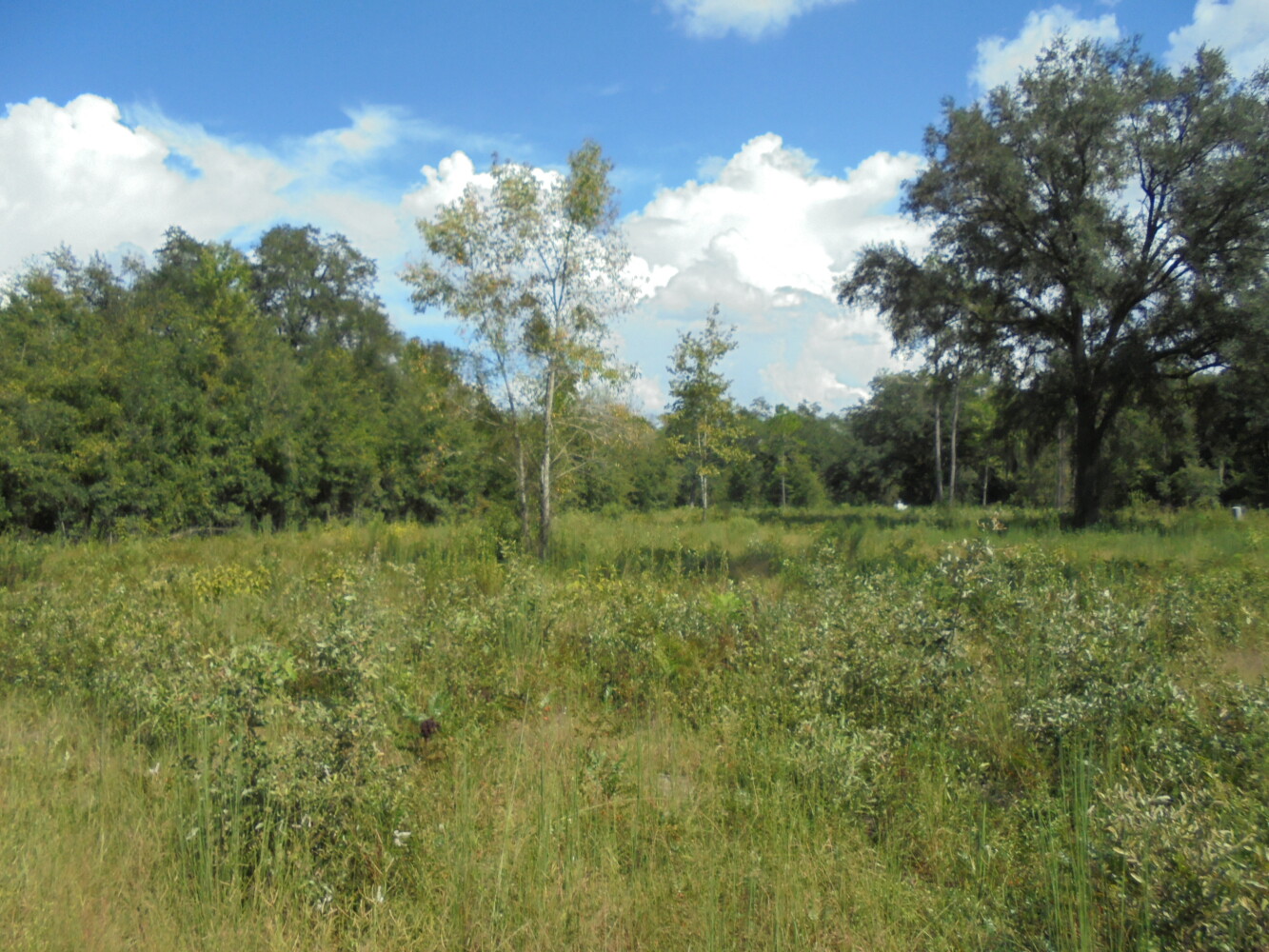 00 111th Drive, O'Brien, FL 32071