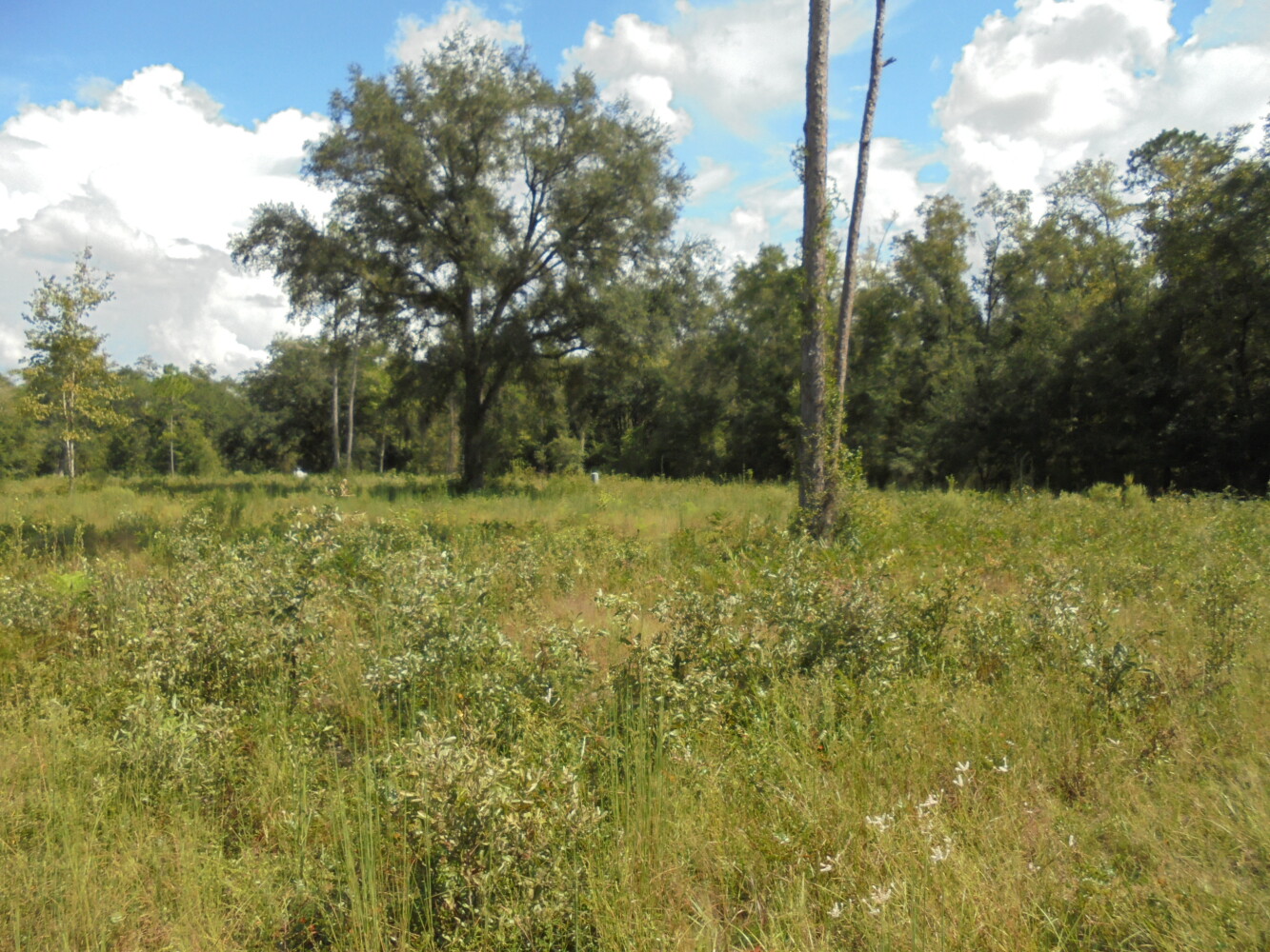 00 111th Drive, O'Brien, FL 32071