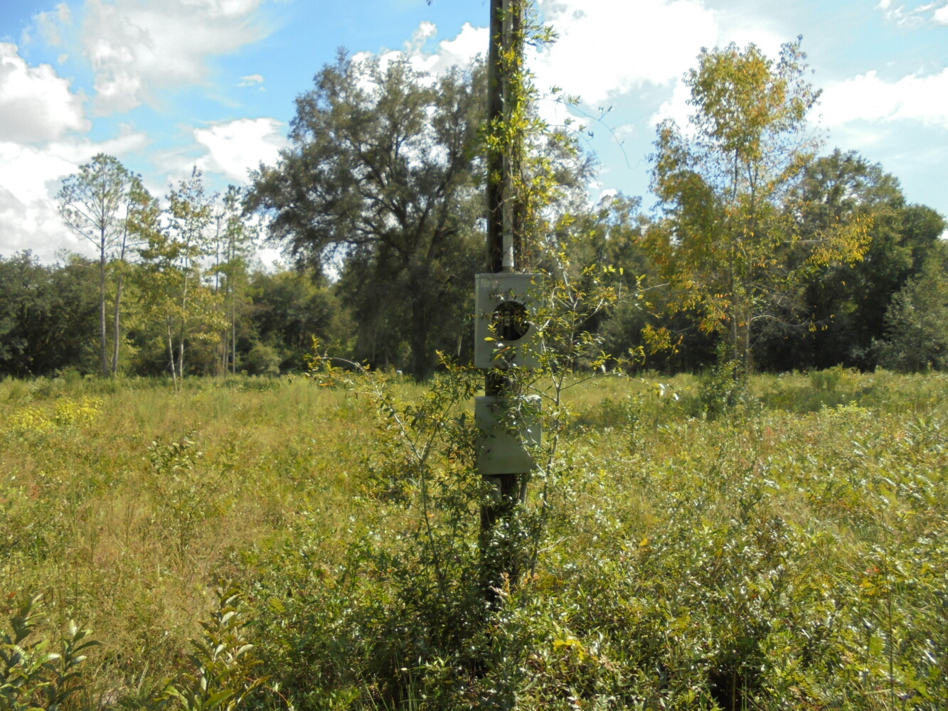 00 111th Drive, O'Brien, FL 32071