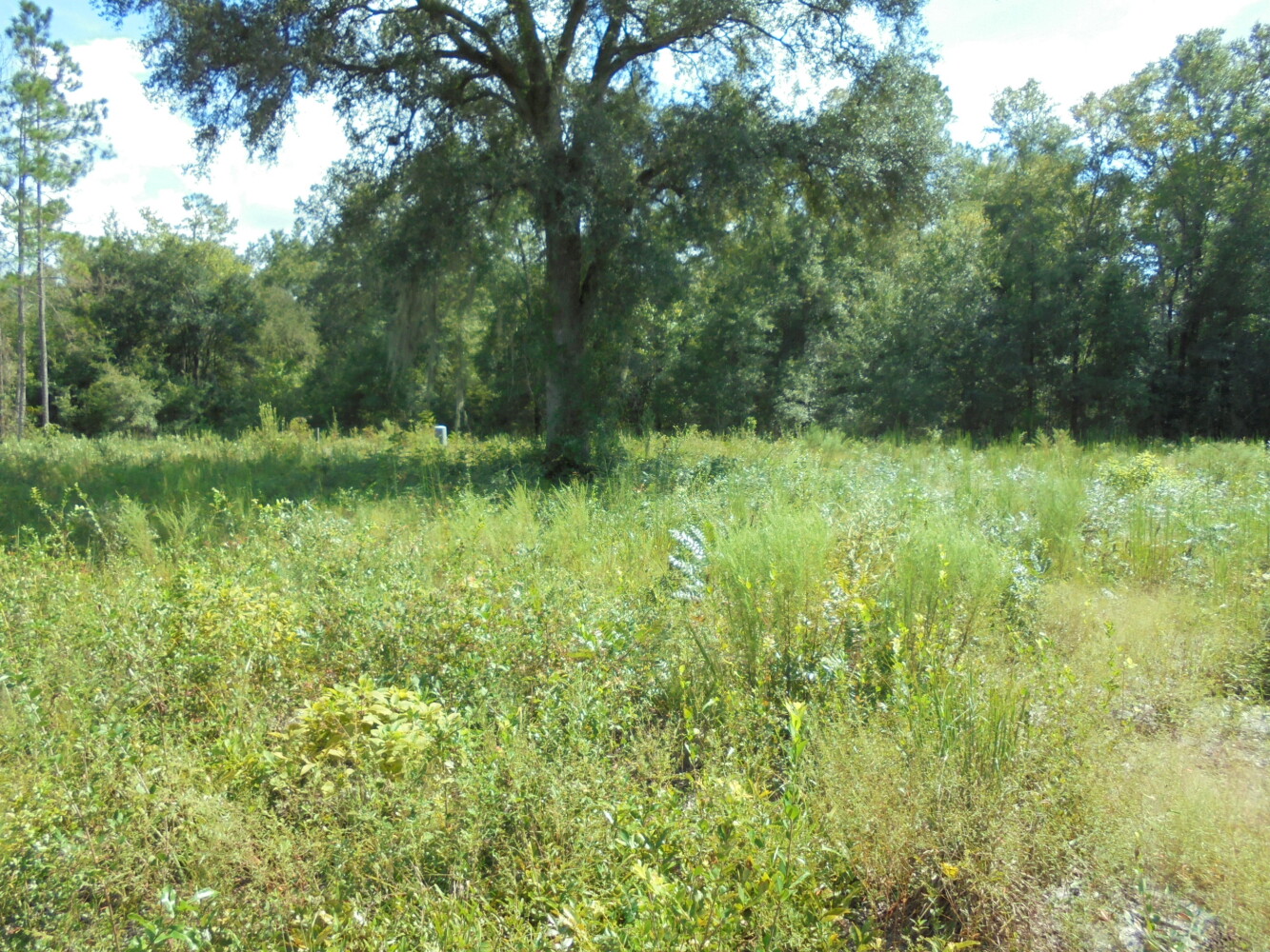 00 111th Drive, O'Brien, FL 32071