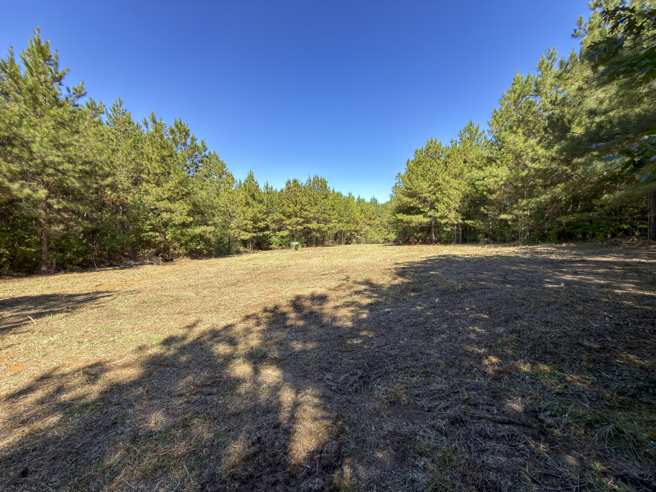 103-Acre Hunting Land for Sale, Chilton County, AL, photo 2 of 23