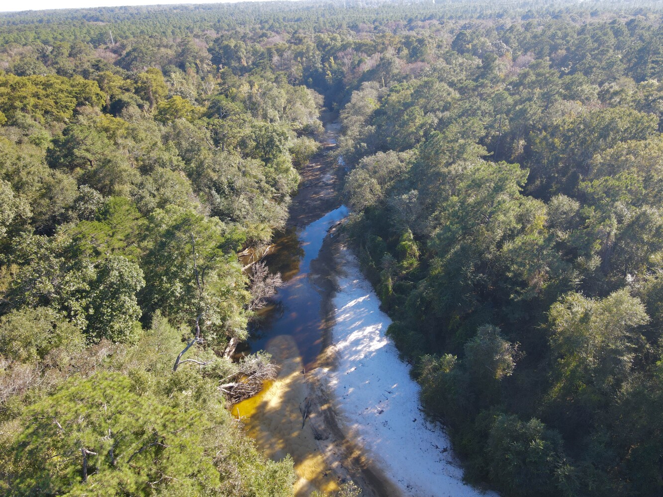 61.8 acres in Harrison County, MS: hunting land for sale near Gulfport, MS
