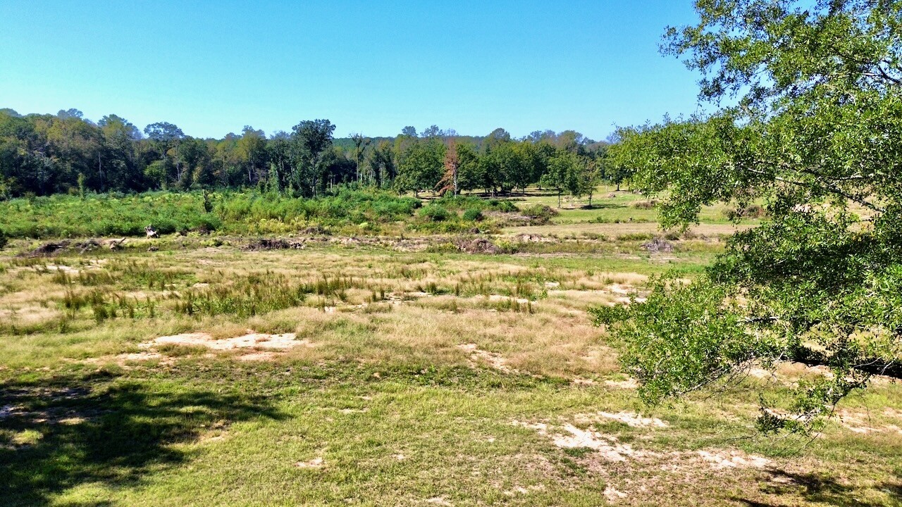 71-Acre Hunting Land for Sale, Fayette County, AL, photo 2 of 32
