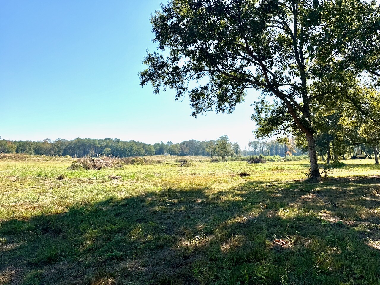 71 acres in Fayette County, AL: hunting land for sale near Winfield, AL