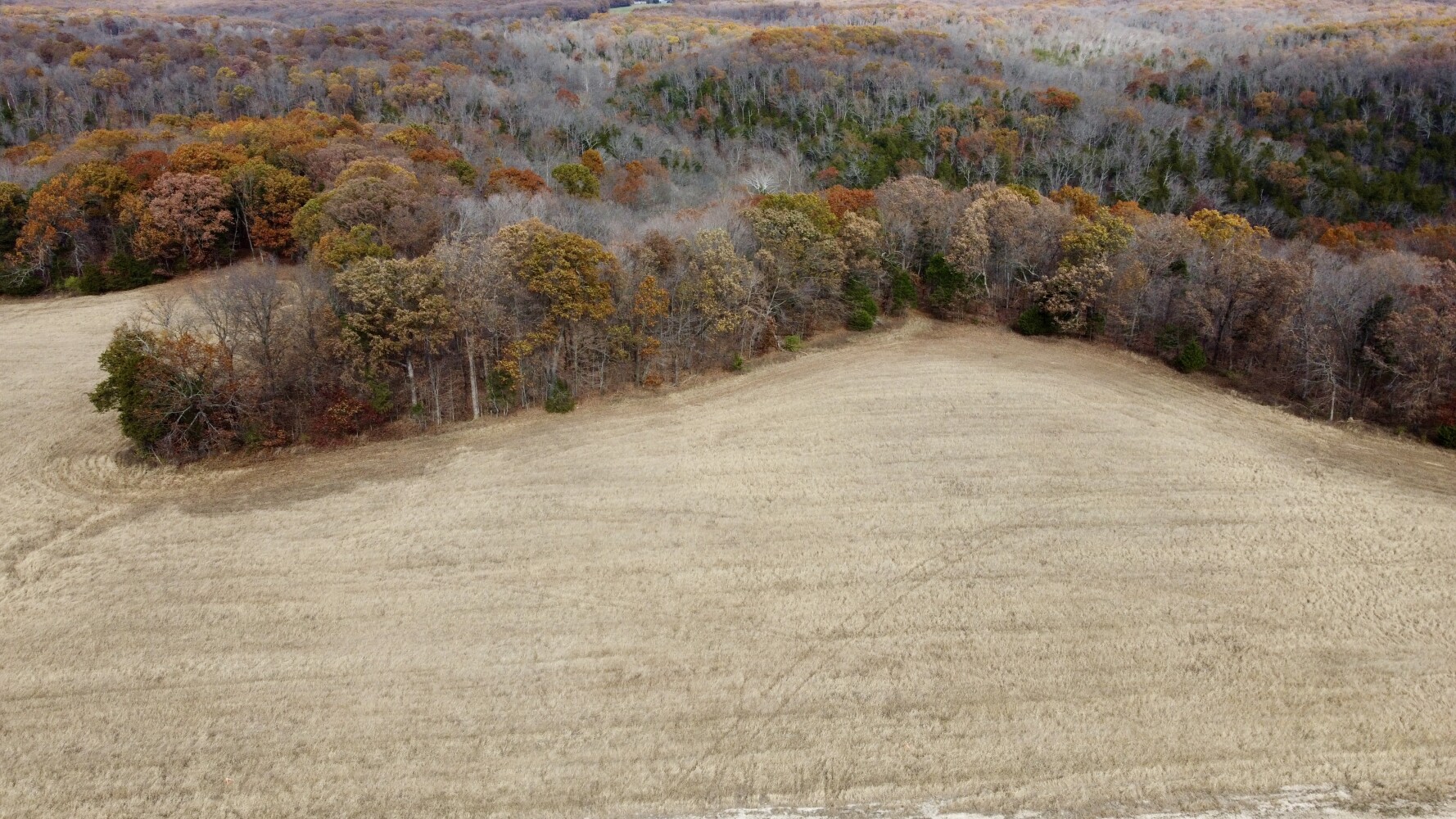 18.6-Acre Hunting Land for Sale, Warren County, MO, photo 3 of 5