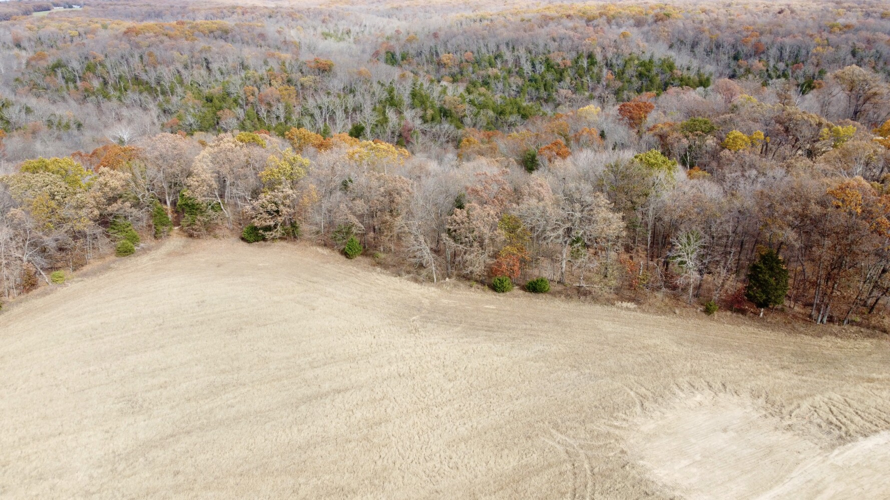Photo 4 of 5 of land for sale at 0 Polston Ln #Lot 4B, Marthasville, MO 63357