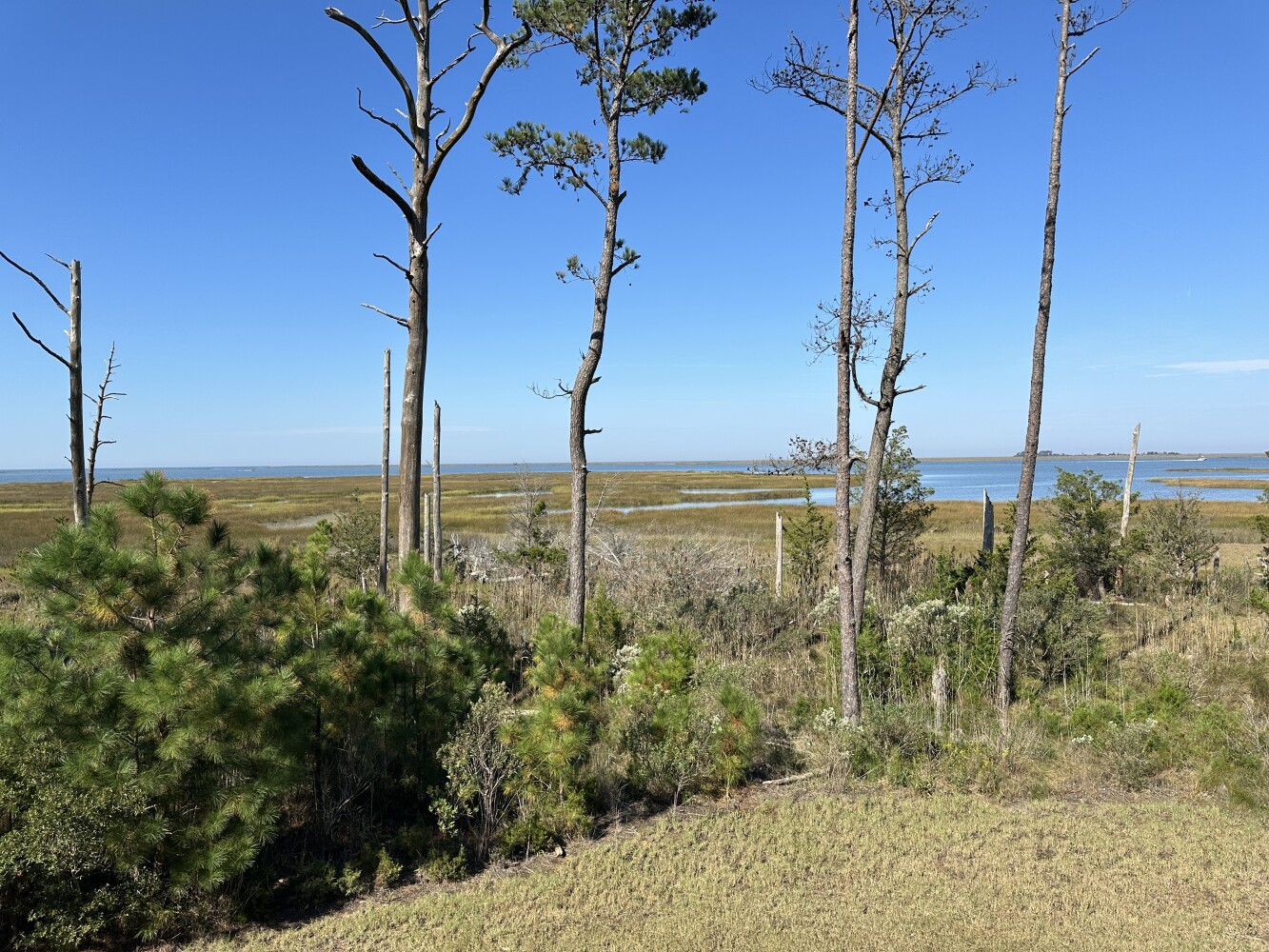 Photo 1 of 45 of land for sale at 21302 Wises Point Lane, Onancock, VA 23417
