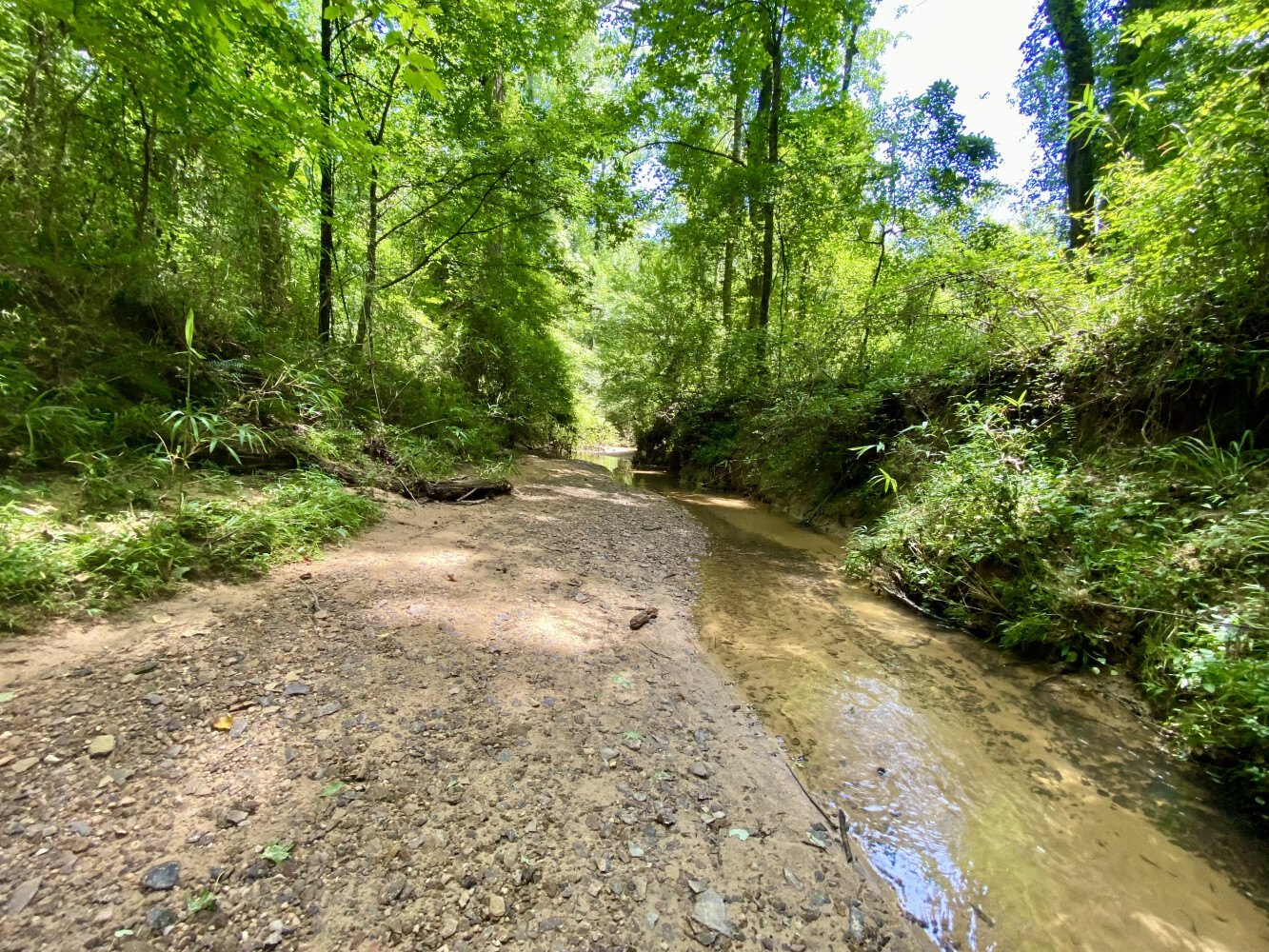 63-Acre Hunting Land for Sale, Tuscaloosa County, AL, photo 3 of 33