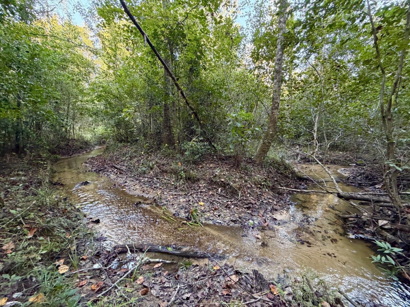 Photo 1 of 25 of land for sale at 0 Shady Grove Road, Jackson, AL 36545