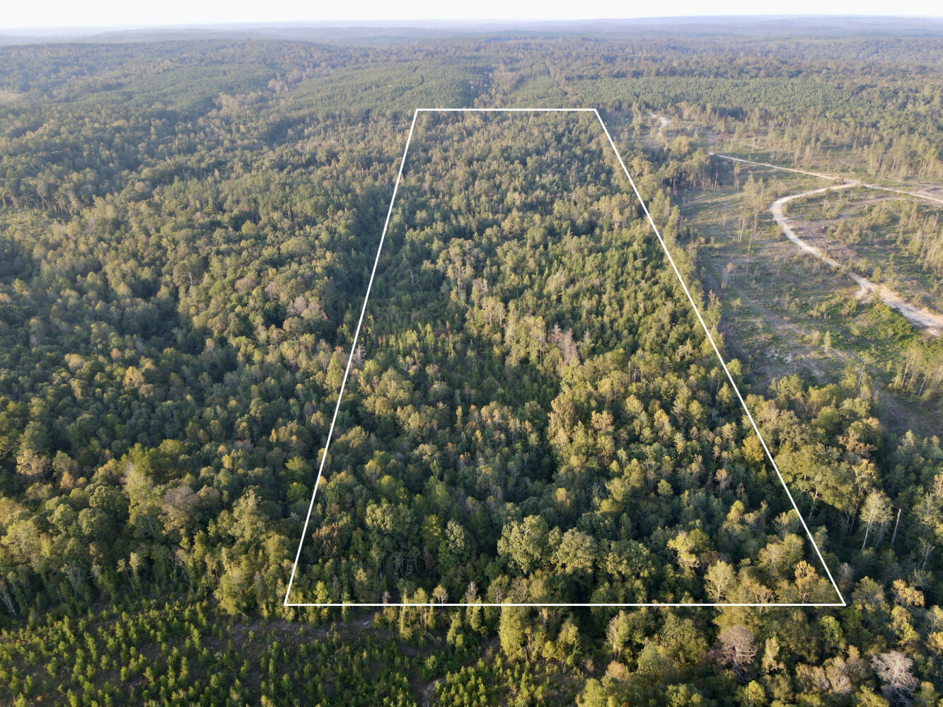 Photo 2 of 25 of land for sale at 0 Shady Grove Road, Jackson, AL 36545