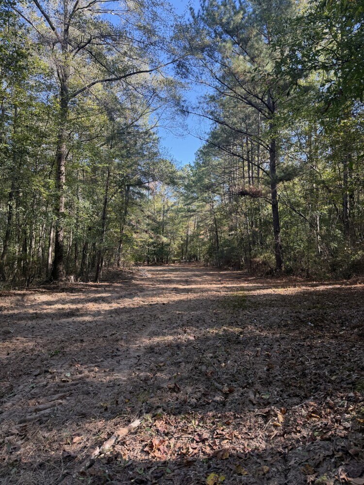 Photo 1 of 25 of land for sale at 0 County Road 700, Pondville, AL 35034