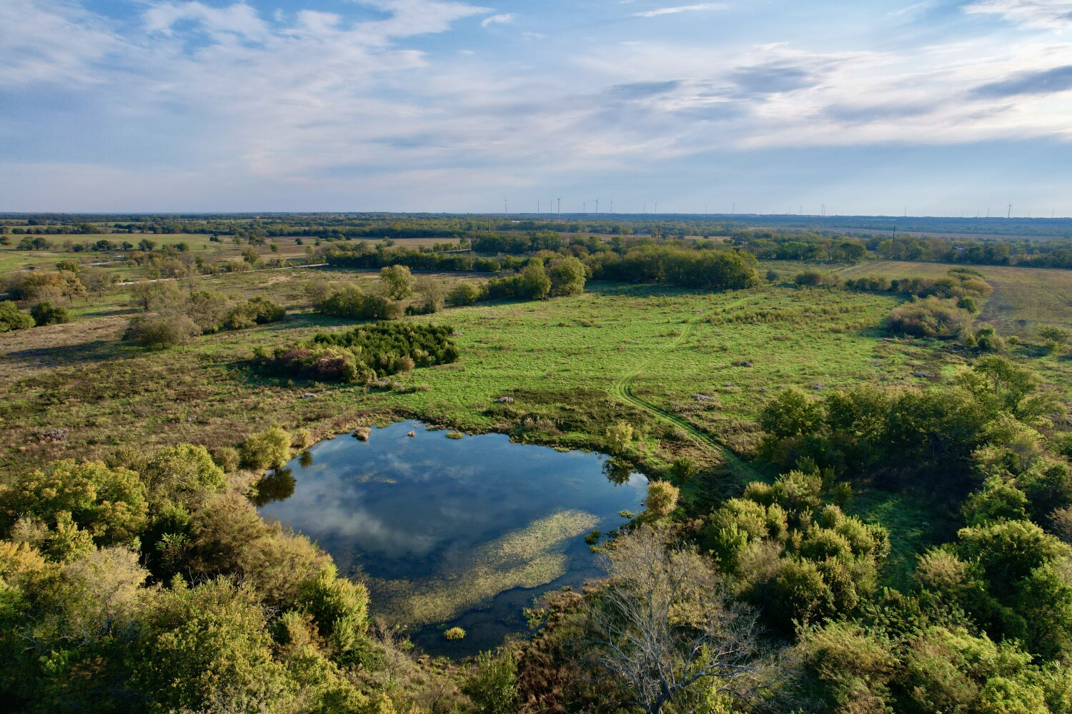 157-Acre Hunting Land for Sale, Neosho County, KS, photo 3 of 50