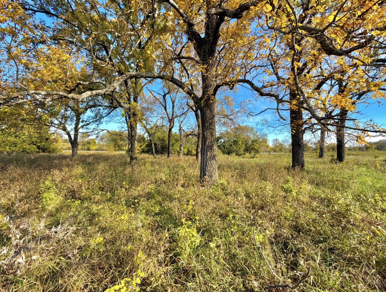 157-Acre Hunting Land for Sale, Neosho County, KS, photo 2 of 50