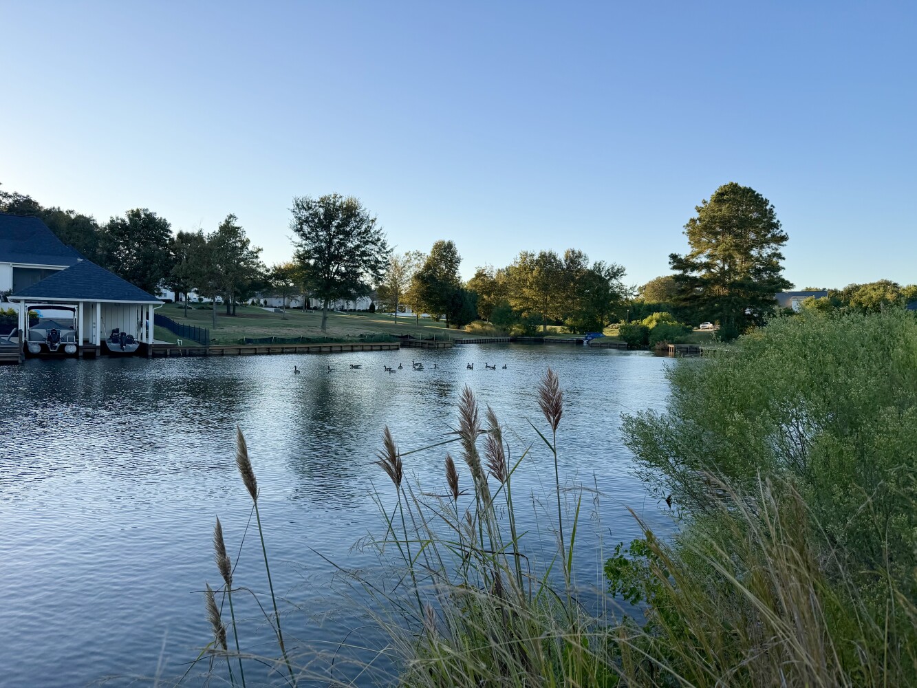 Photo 3 of 15 of land for sale at 215 Harpers Way, Madison, MS 39110
