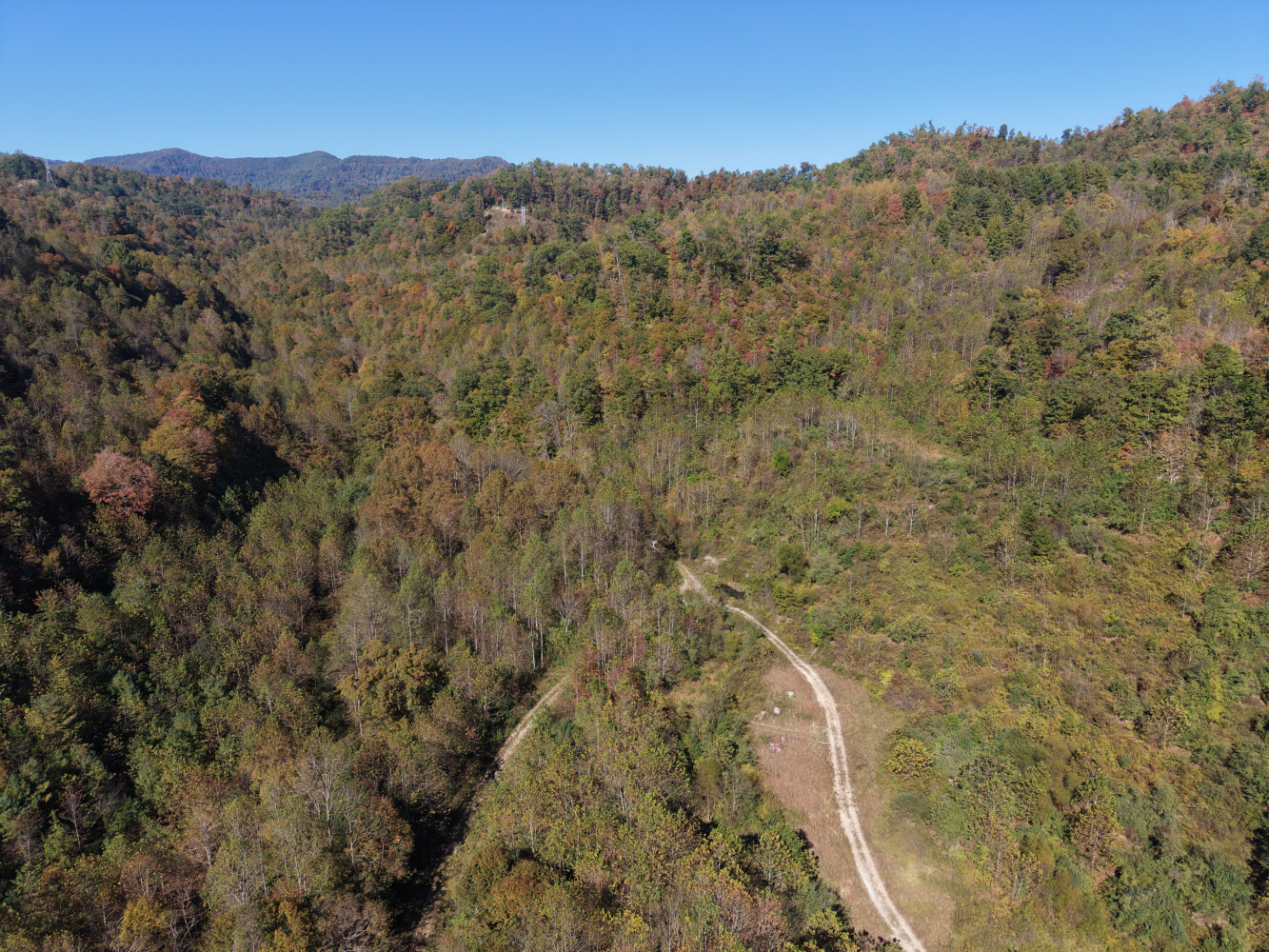 358-Acre Hunting Land for Sale, Lee County, VA, photo 3 of 25