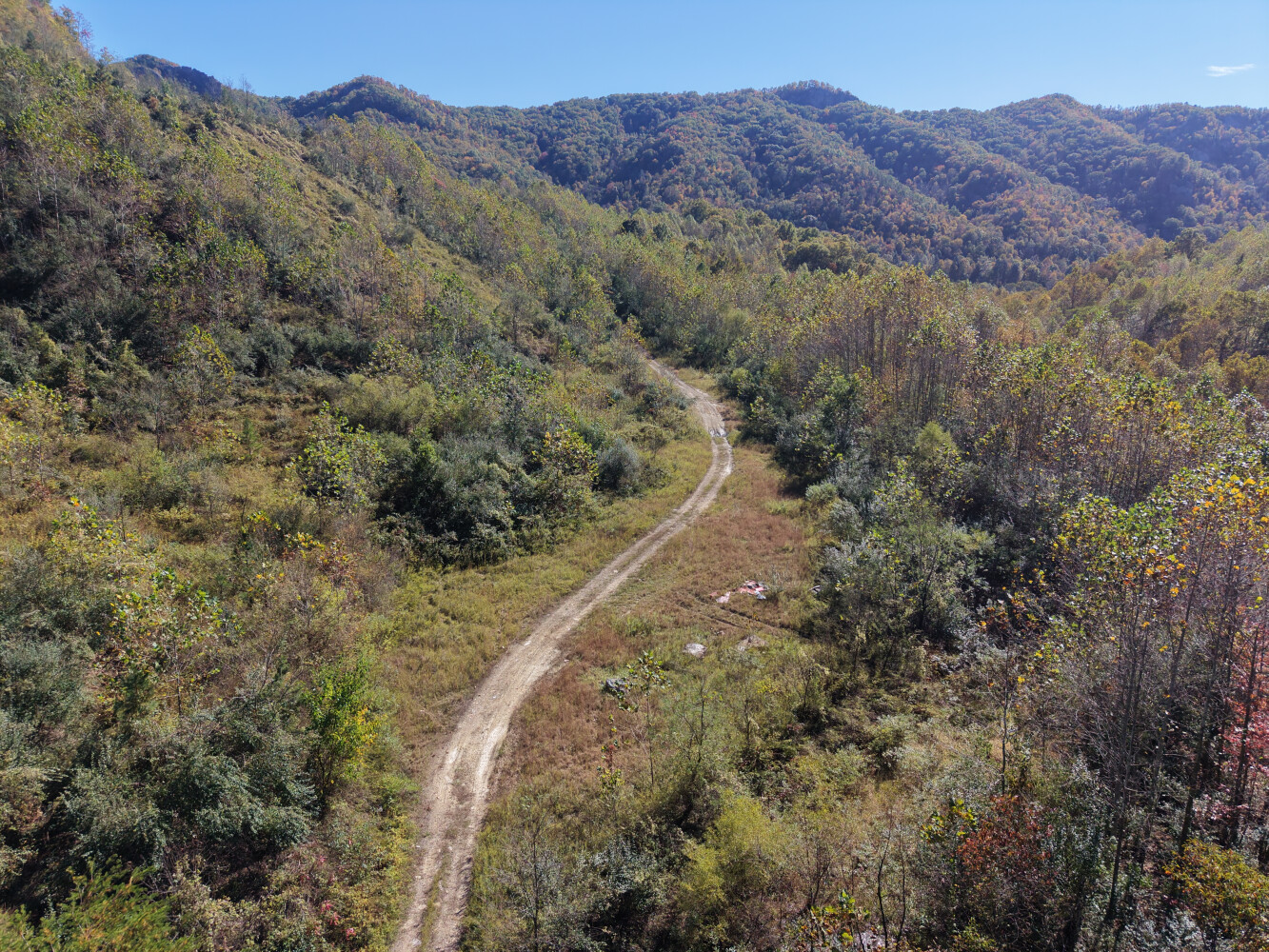 358 acres in Lee County, VA: hunting land for sale near Keokee, VA