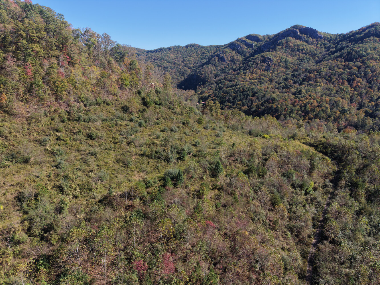 358-Acre Hunting Land for Sale, Lee County, VA, photo 2 of 25