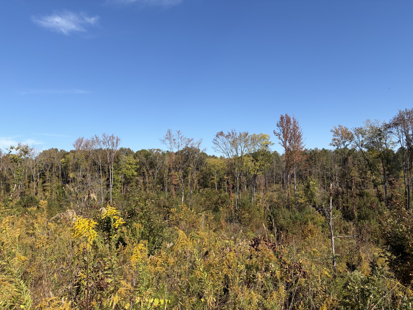 Photo 5 of 27 of land for sale at 0 Pinewoods Road, Macon, MS 39341