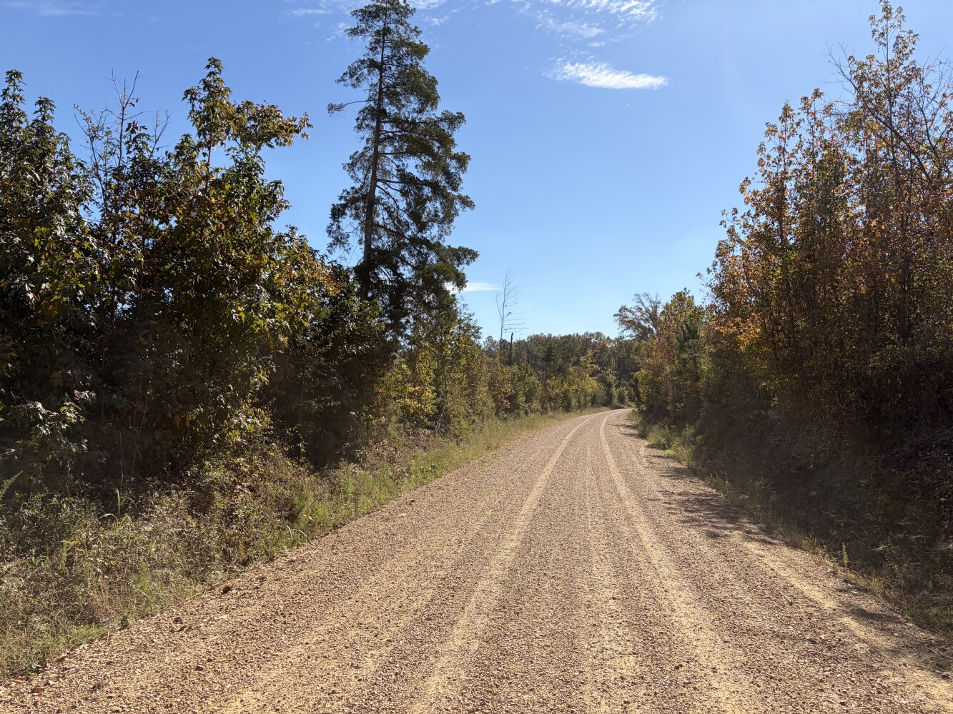 Photo 4 of 27 of land for sale at 0 Pinewoods Road, Macon, MS 39341