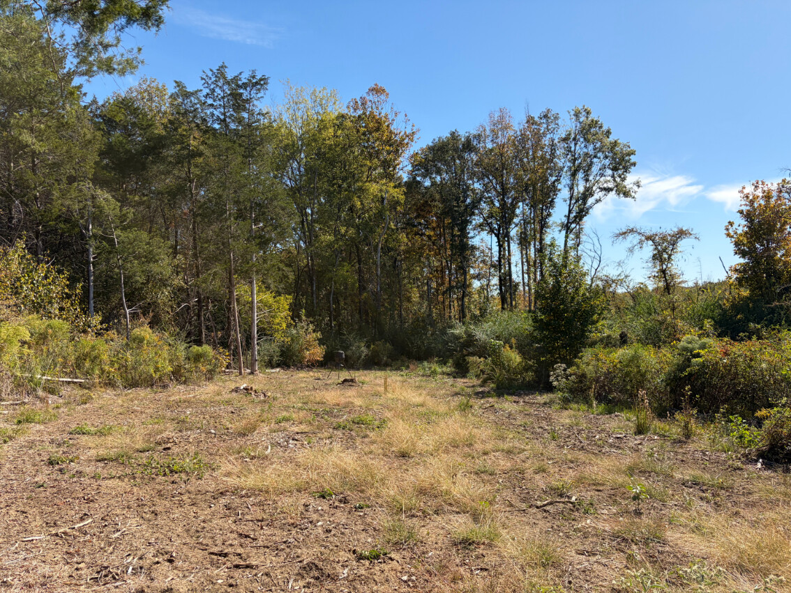 64 acres in Noxubee County, MS: hunting land for sale near Macon, MS