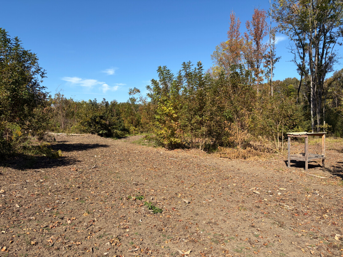 64-Acre Hunting Land for Sale, Noxubee County, MS, photo 3 of 27